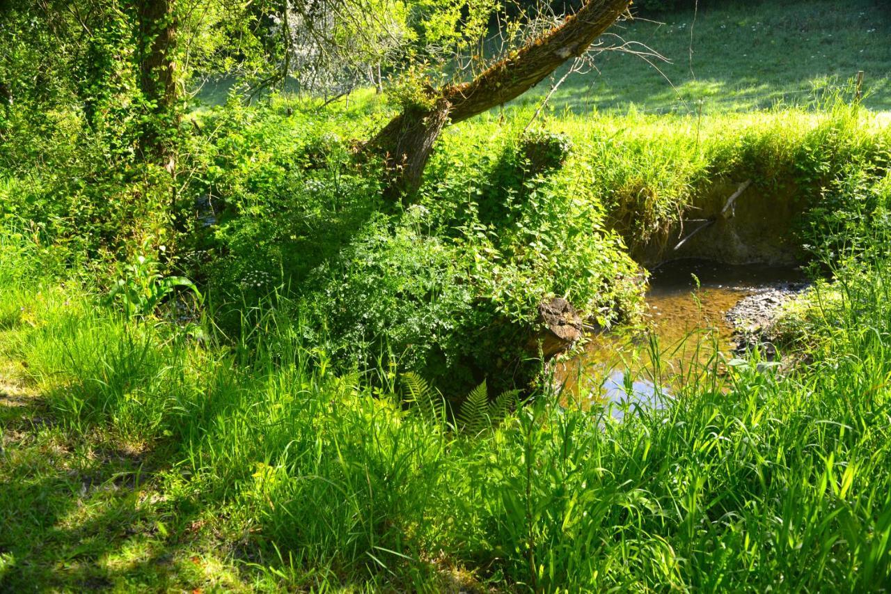 Le Domaine Du Pont Canon Plourivo Exterior foto